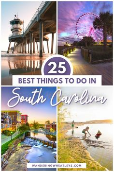 the best things to do in south carolina