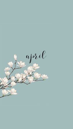 a branch with white flowers and the word gysal written in black ink on a pale blue background