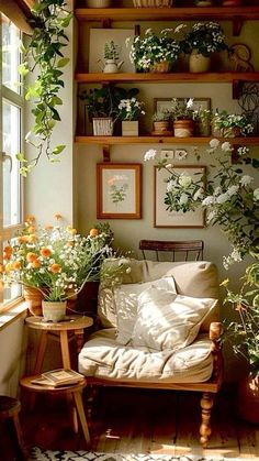 a living room filled with lots of potted plants and flowers on top of shelves