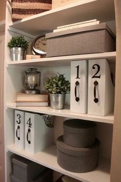 a shelf with some books and plants on it