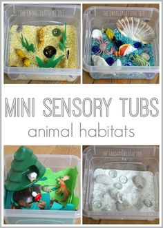 four different types of toys in plastic containers with text overlay that reads mini sensory tubs animal habitats