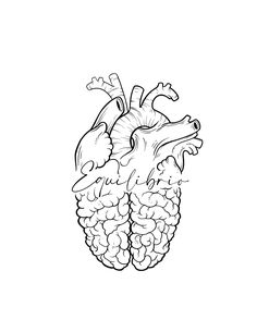 a black and white drawing of a human heart