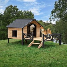 two dogs in a dog house on top of a grassy hill with trees and water behind them