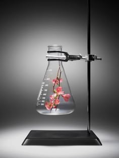 a flask filled with flowers on top of a black table next to a light