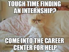 a cat sitting on top of a bed with the caption tough time finding an internship? come into the career center for help