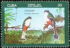 a stamp with two birds sitting on top of it's back end and the words cuba in spanish