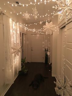 a cat laying on the floor in front of a door with snowflakes hanging from it