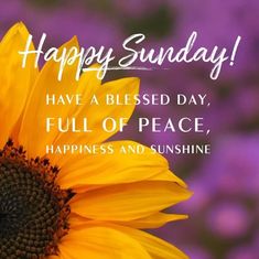 a sunflower with the words happy sunday have a blessed day, full of peace, happiness and sunshine