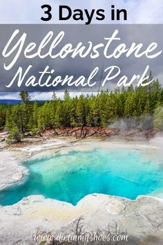 yellowstone national park with text overlaying 3 days in yellowstone