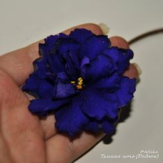 a hand holding a purple flower with yellow stamen