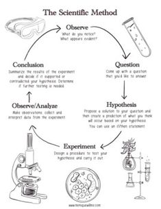 the scientific method worksheet for students to learn how to use microscopes and other tools