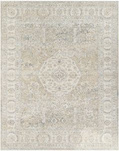 an area rug with beige and grey colors on the floor, including a large medallion design