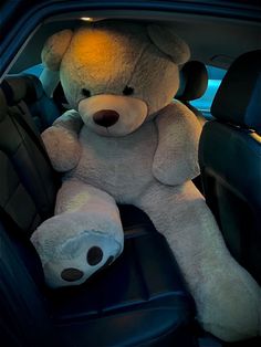 a large teddy bear sitting in the back seat of a car