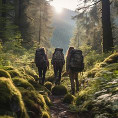 two people with backpacks are walking through the woods on a trail covered in green moss