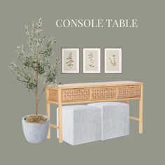 the console table is next to a potted plant