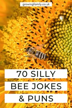 a bee on a sunflower with the words, 70 silly bee jokes and puns