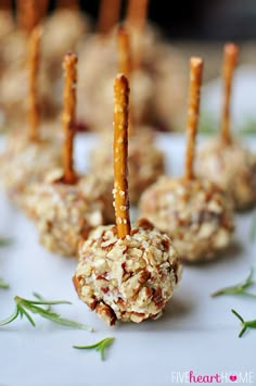 carrots and oatmeal balls on a plate with sticks sticking out of them