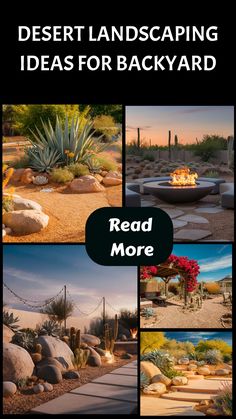 desert landscaping ideas for backyards