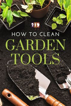 gardening tools sitting on top of dirt next to plants and potted plants with the title how to clean garden tools