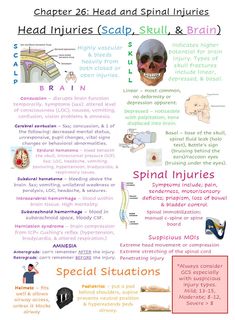 an info sheet with different types of injuries and other medical related items, including the head