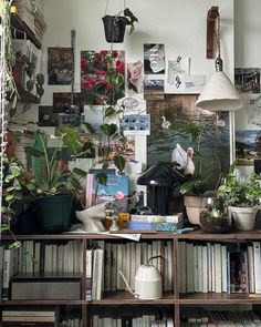 a room filled with lots of plants and books on top of a wooden book shelf