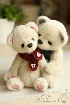 two white teddy bears sitting next to each other