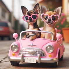 two small dogs wearing heart shaped sunglasses in a pink car