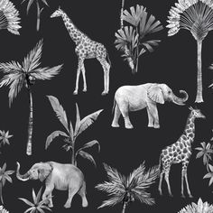 an elephant, giraffes and palm trees on a black background