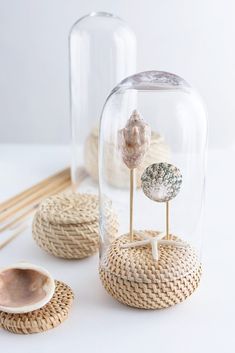 three sea shells under a glass dome with chopsticks on the table next to it