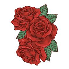 two red roses with green leaves on white background, hand drawn illustration in vintage woodcut style