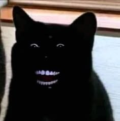 a black cat with an evil smile on it's face