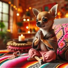 a small chihuahua dog sitting on top of a bed