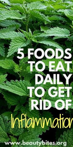 5 anti-inflammatory foods to eat daily. These foods fight inflammation, reduce pain and prevent disease according to research Eat Natural, Inflammation Diet Recipes, Inflammation Remedies, Inflammation Foods, Beauty Bites, Anti Inflamatory, Anti Inflammation Recipes, Inflammation Diet, Inflammatory Diet