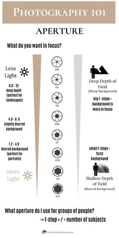 an info sheet describing the different types of objects in this image and how to use them