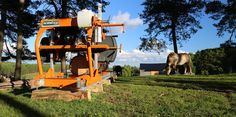 an orange machine is in the middle of a field with two horses grazing behind it