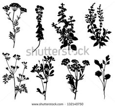 black and white silhouettes of plants