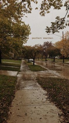 a wet sidewalk with trees on both sides and the words perfect weather written above it