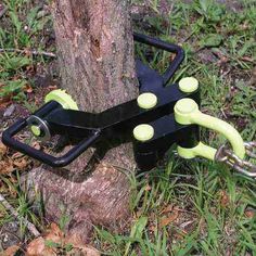 a pair of scissors is attached to a tree