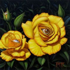 two yellow roses with an eye in the center