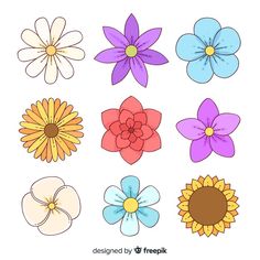 six different colored flowers on a white background