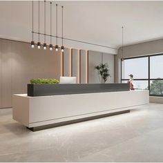 an office lobby with large windows and plants on the reception desk, along with modern lighting fixtures