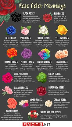 the color scheme for roses is shown in this graphic style, which includes different colors and sizes