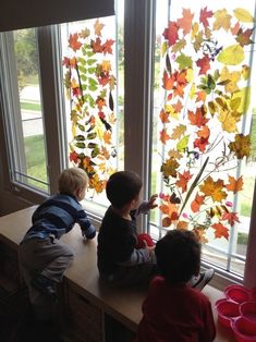 Koop een flinke rol doorzichtig plakfolie, ga met de kinderen mooie blaadjes zoeken, plak ze op folie en vervolgens op het raam! Fall Classroom Decorations Ideas, Reggio Emilia Classroom, Reggio Emilia Approach, Reggio Inspired Classrooms, Reggio Emilia Inspired, Reggio Classroom, Fall Classroom Decorations, Tree Study, Theme Nature