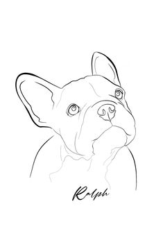 a black and white drawing of a dog