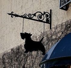 a black dog hanging from a sign on the side of a building next to a blue umbrella