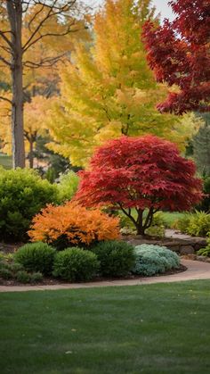 colorful trees and shrubs in a park setting