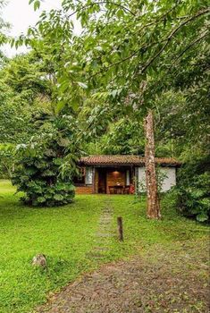 a small house in the middle of some trees and grass with stairs leading up to it