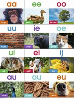 an image of animals and letters in spanish