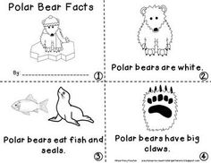 polar bear fact worksheet for kids to learn about the arctic animals and their habitats