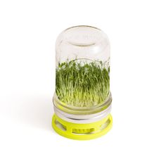 a glass jar with grass in it sitting on top of a yellow stand and white background